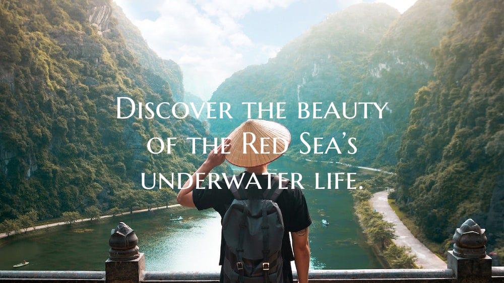 Discover the beauty of the Red Sea’s underwater ...