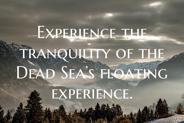 Experience the tranquility of the Dead Sea’s flo...