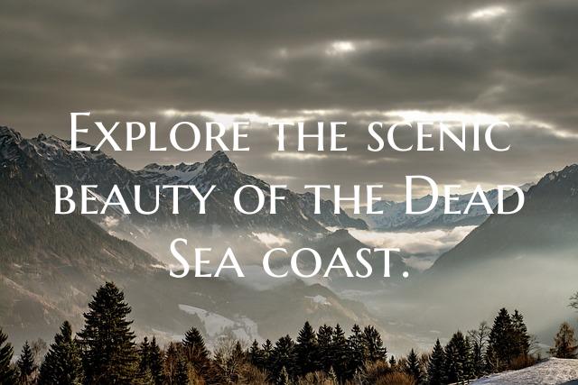 Explore the scenic beauty of the Dead Sea coast.